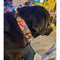 2Hounds Design Classic Tie-Dye Dog Collar Medium - Poudre Pet & Feed Supply